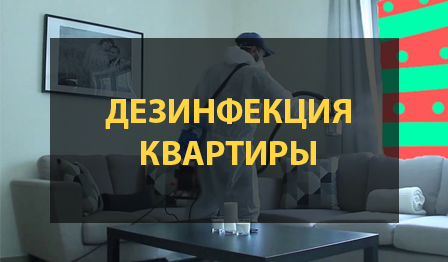 Дезинфекция квартиры