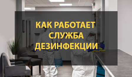 Как работает профессиональная служба дезинфекции