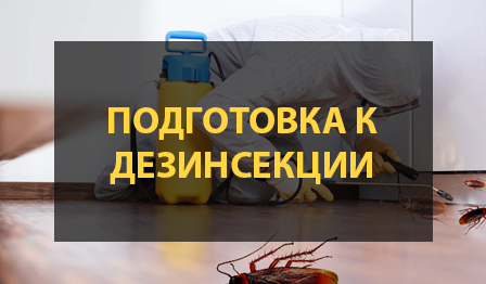Подготовка к дезинсекции