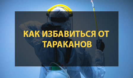 7 способов избавиться от тараканов в доме