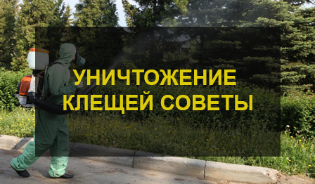 Химическое уничтожение клещей