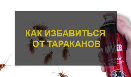 Как избавиться от тараканов