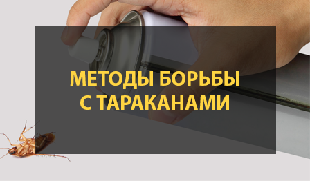 Методы борьбы с тараканами