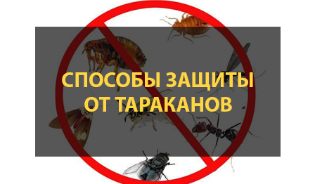 Способы защиты от тараканов