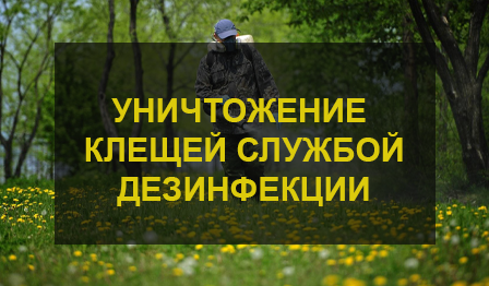 Уничтожение клещей