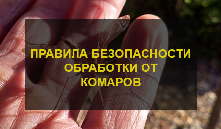 Обработка от комаров