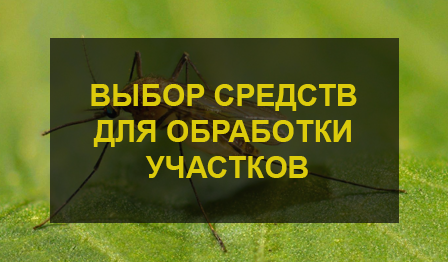 Обработка участка от комаров