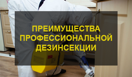 Преимущества профессиональной дезинсекции