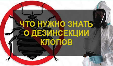 Уничтожение клопов