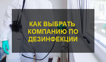 Как выбрать компанию по дезинфекции