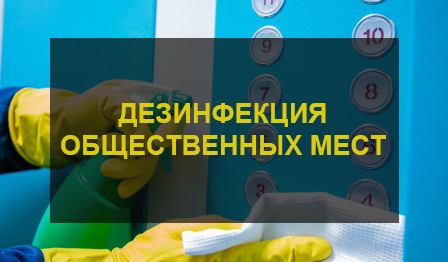 Дезинфекция