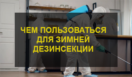Дезинсекция