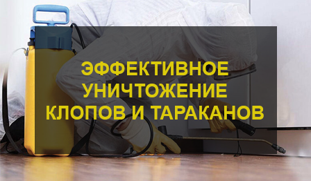 Дезинфекция