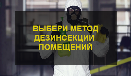 Дезинсекция