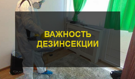 Дезинсекция квартиры