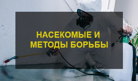 Уничтожение насекомых