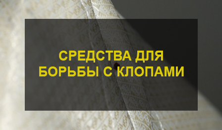 Уничтожение клопов