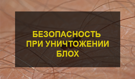 Безопасность при уничтожении блох
