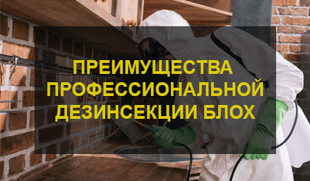 Дезинсекция