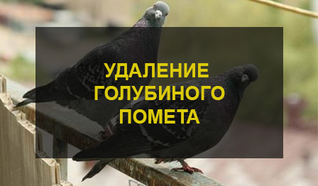 Удаление голубиного помета