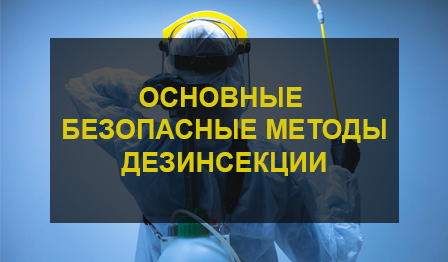 Безопасные методы дезинсекции