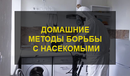 Домашние методы борьбы с насекомыми