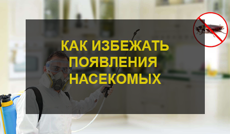 Уничтожение тараканов
