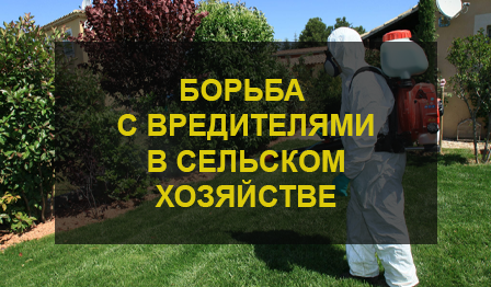 Борьба с вредителями в сельском хозяйстве