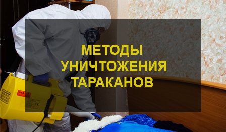 Эффективные способы избавления от тараканов