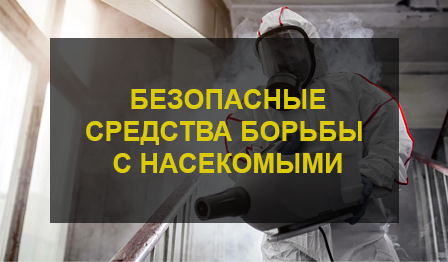Экологически безопасные способы борьбы с вредителями
