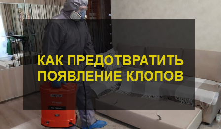 Уничтожение клопов