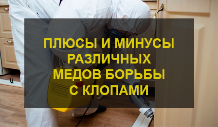Уничтожение клопов