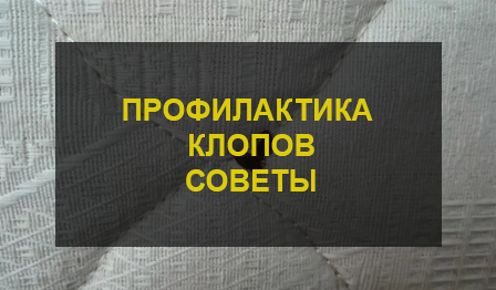 Уничтожение клопов