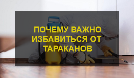 Уничтожение тараканов