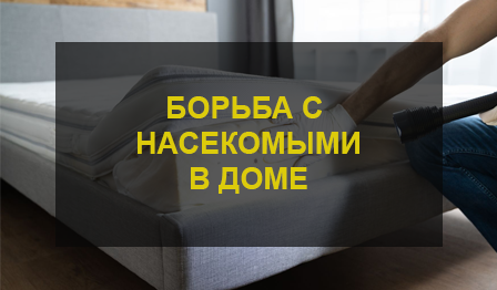 Дезинсекция помещений