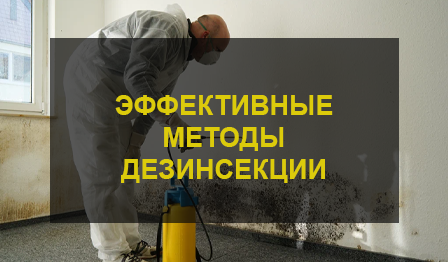 Дезинсекция
