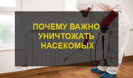 Насекомые